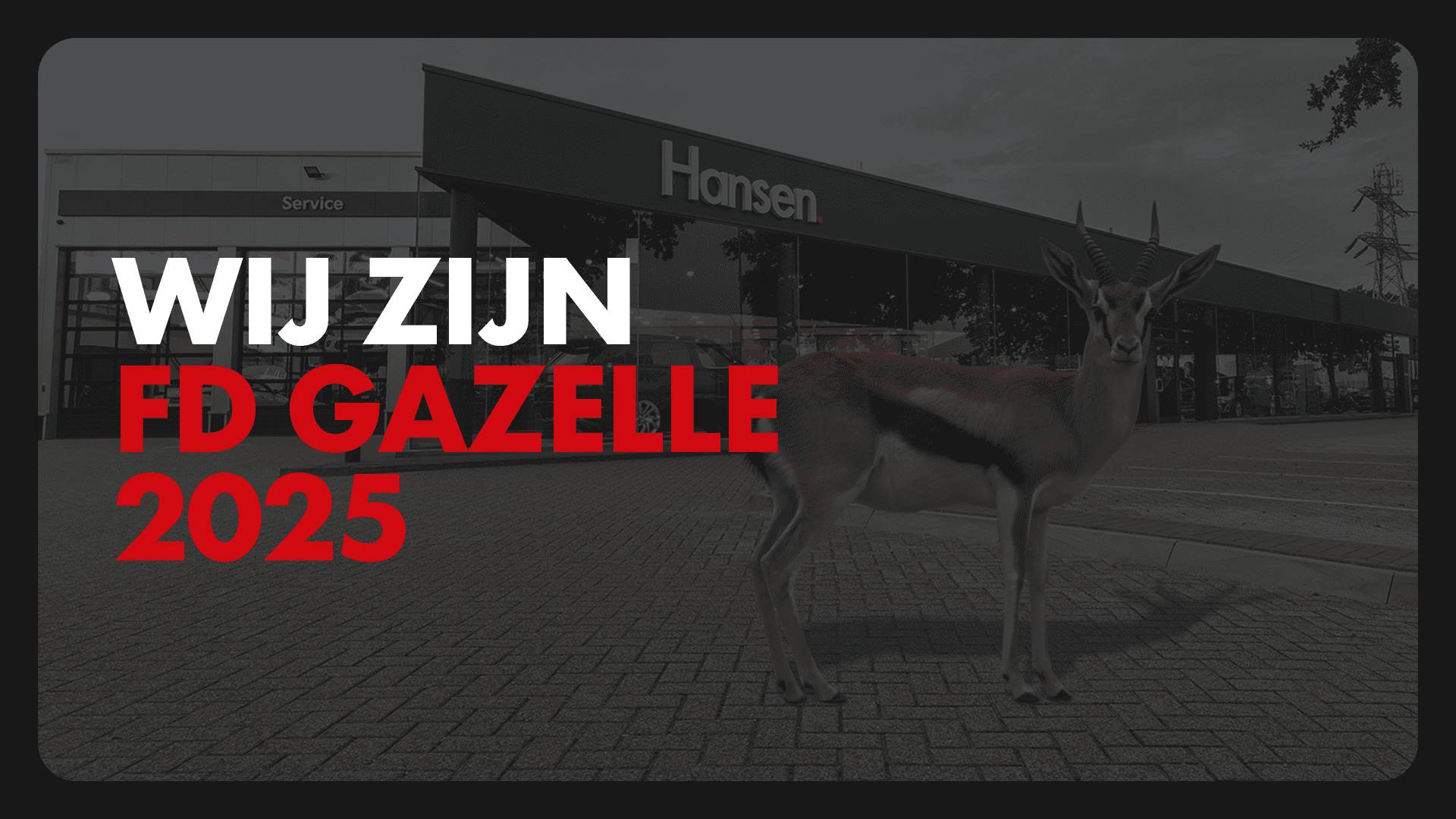 Gazelle-award-2025
